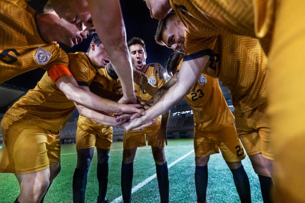 的评价正是 的评价正是